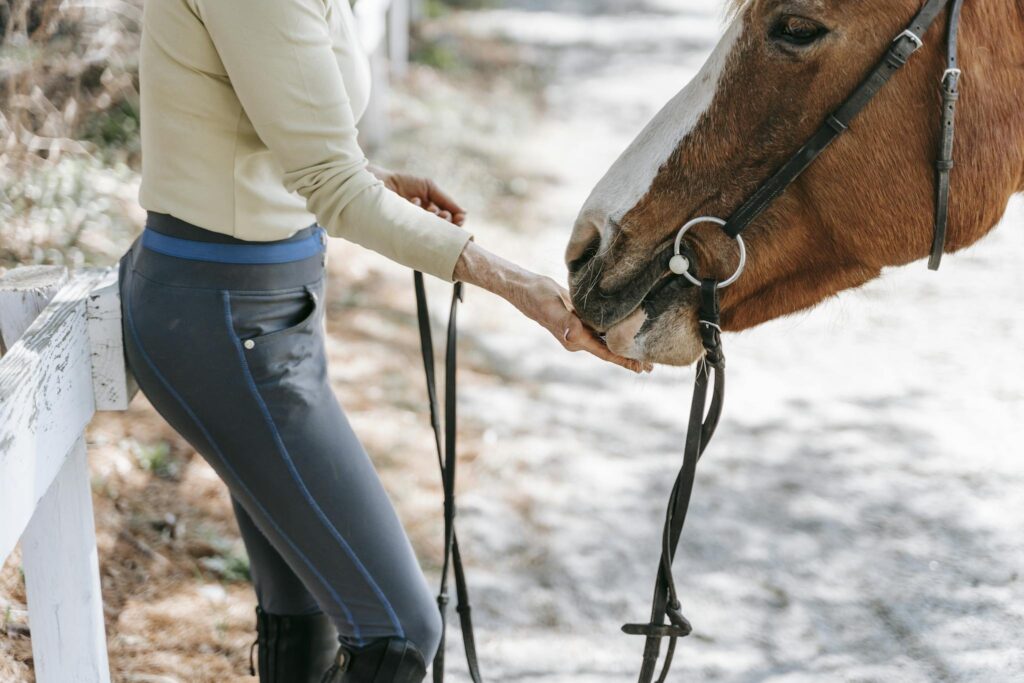 A woman feeding a horse outdoors by a white fence, conveying a serene connection.
