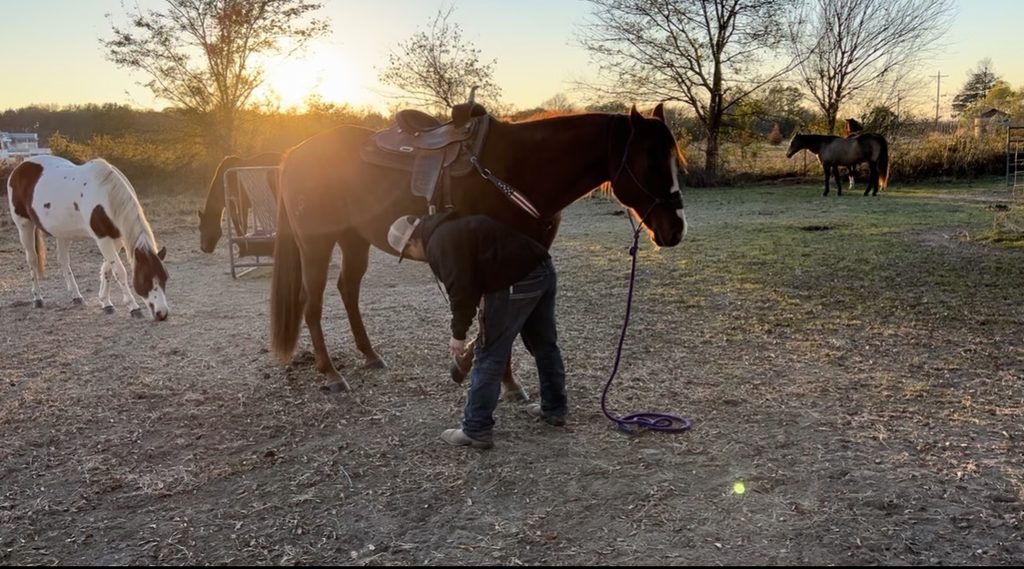 John Kelly holding Newt’s front hoof while Newt stands calmly